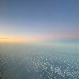 Meet your Posher, Janey